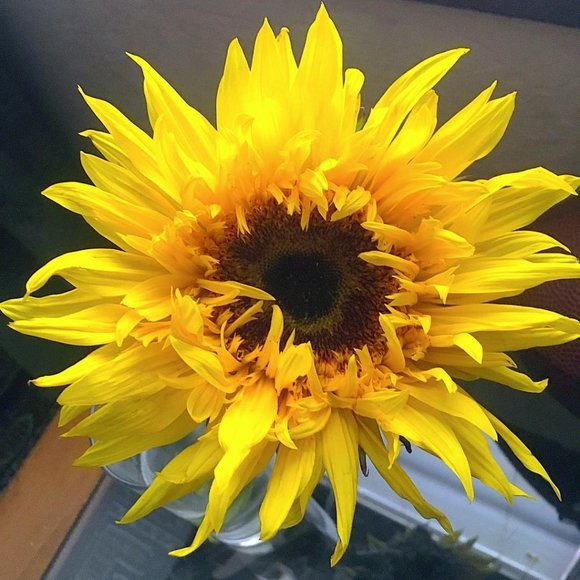 Meet your Posher, Keyla - Picture 2 of 8